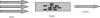470643 fg0303_thumb.jpg 1.1K
